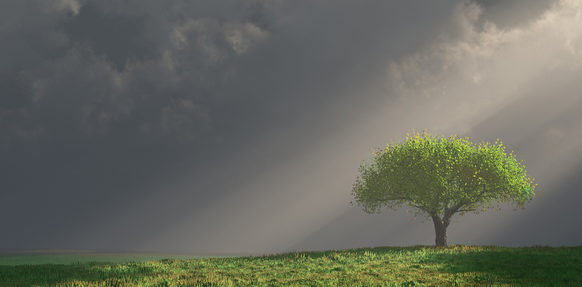 Slider 3 Background